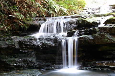 Private 10-hour Tour To Blue Mountains From Sydney - Hotel Pick Up & Drop Off - Geraldton Accommodation 6