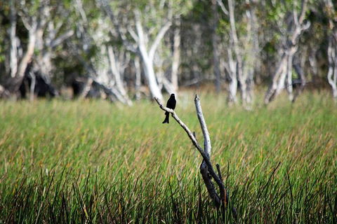 ETHICAL ADVENTURES - Dry Season Litchfield Region, Max 10 Guests - Geraldton Accommodation 2