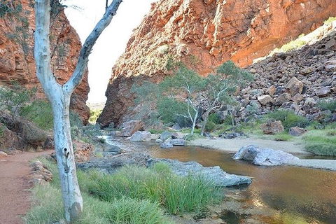 Alice Springs, Uluru Ayers Rock & Kings Canyon 8 Days Touring Package - Geraldton Accommodation 2