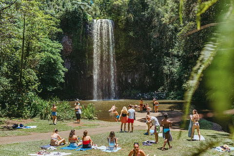 Atherton Tablelands Waterfalls And Rainforest Day Tour Departing Cairns - Geraldton Accommodation 4