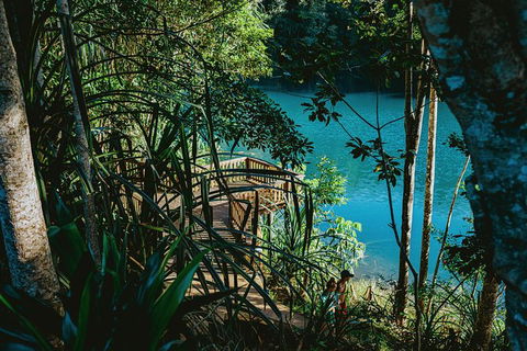 Atherton Tablelands Waterfalls And Rainforest Day Tour Departing Cairns - Geraldton Accommodation 5