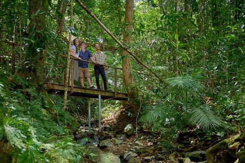 Daintree And Cape Tribulation Tour From Cairns - Geraldton Accommodation 3
