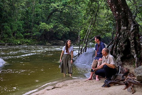 Daintree And Cape Tribulation Tour From Cairns - Geraldton Accommodation 2