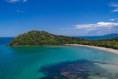 Daintree And Cape Tribulation Tour From Cairns - Geraldton Accommodation 7