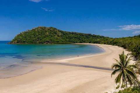 Daintree And Cape Tribulation Tour From Cairns - Geraldton Accommodation 8