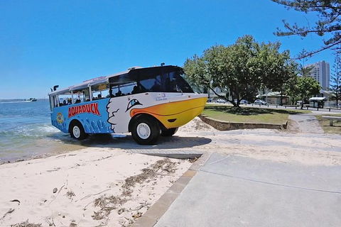 Aquaduck Gold Coast 1 Hour City And River Tour - Geraldton Accommodation 1
