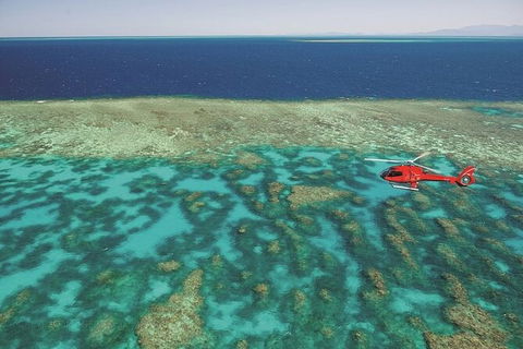 Ultimate Great Barrier Reef And Rainforest 45-minute Helicopter Tour - Geraldton Accommodation 2