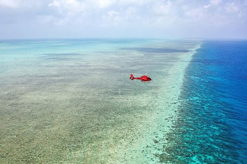 Ultimate Great Barrier Reef And Rainforest 45-minute Helicopter Tour - Geraldton Accommodation 5