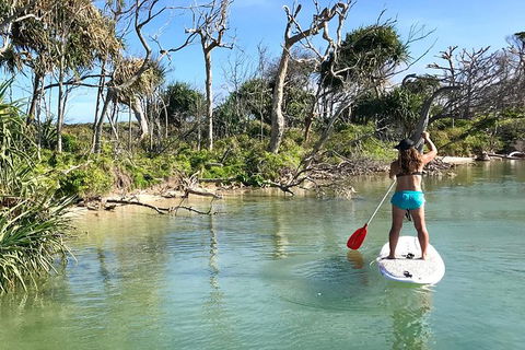Early Morning Weekend Paddleboard Special - Geraldton Accommodation 5