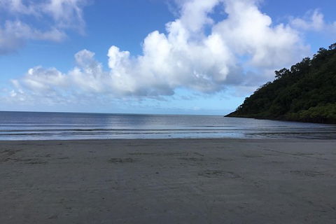 Daintree Luxury Limousine Tour - Full Day - Geraldton Accommodation 6