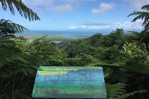 Daintree Luxury Limousine Tour - Full Day - Geraldton Accommodation 0