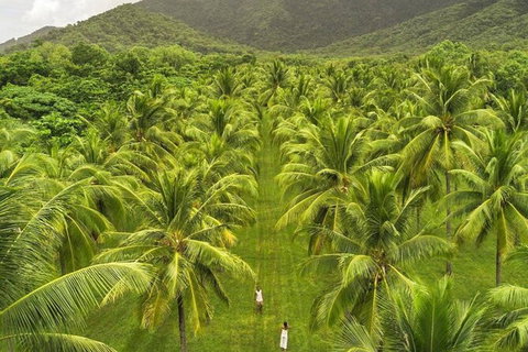 SHUTTLE - Thala Beach And Turtle Cove From Port Douglas (Return Transfer) - Geraldton Accommodation 1