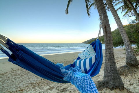 SHUTTLE - Thala Beach And Turtle Cove From Port Douglas (Return Transfer) - Geraldton Accommodation 3