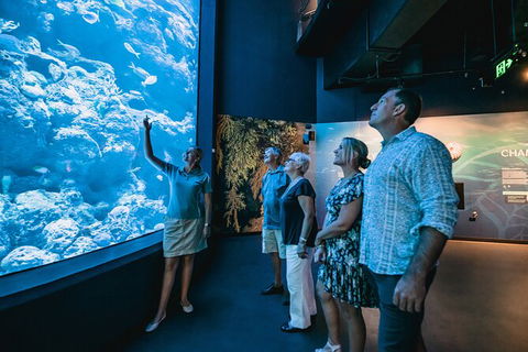 Cairns Aquarium By Twilight With 3 Course Dinner - Geraldton Accommodation 0