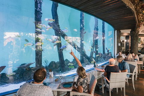 Cairns Aquarium By Twilight With 3 Course Dinner - Geraldton Accommodation 1
