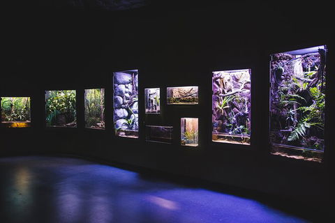 Cairns Aquarium By Twilight With 3 Course Dinner - Geraldton Accommodation 3