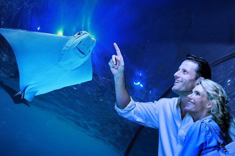 Cairns Aquarium Tour By Twilight With Drink And Appetiser - Geraldton Accommodation 0