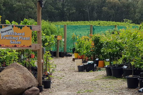 Yarra Valley Wineries And Rayners Orchard Tour From Melbourne - Geraldton Accommodation 0