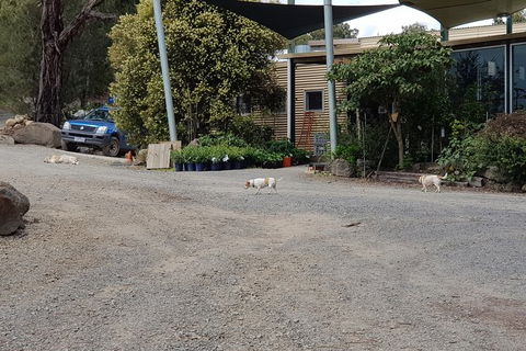 Yarra Valley Wineries And Rayners Orchard Tour From Melbourne - Geraldton Accommodation 24