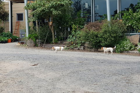 Yarra Valley Wineries And Rayners Orchard Tour From Melbourne - Geraldton Accommodation 23