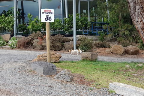 Yarra Valley Wineries And Rayners Orchard Tour From Melbourne - Geraldton Accommodation 1