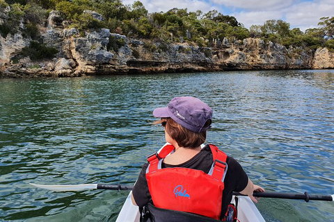 Cliffs And Caves Kayak Tour In Swan River - Geraldton Accommodation 1
