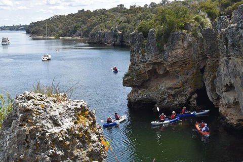 Cliffs And Caves Kayak Tour In Swan River - Geraldton Accommodation 2