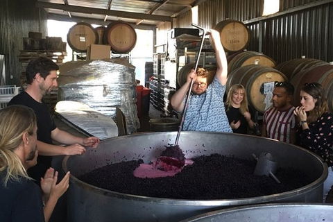 Margaret River Beer & Wine Adventure (departs Margaret River) - Geraldton Accommodation 10