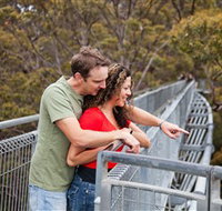 Valley of the Giants Tree Top Walk - Geraldton Accommodation