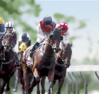 Colac Turf Club - Geraldton Accommodation