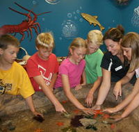 Naturaliste Marine Discovery Centre - Geraldton Accommodation