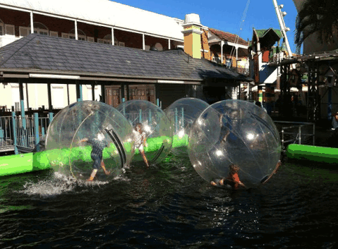 Aussie Waterballs - Geraldton Accommodation 0