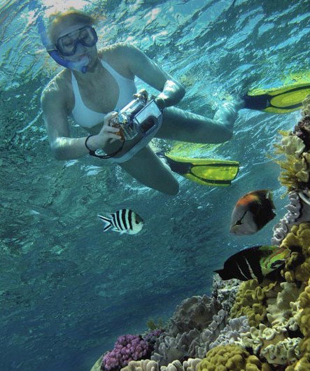 Calypso Reef Charters - Geraldton Accommodation 0
