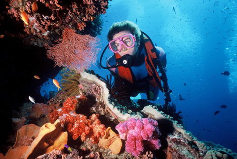 Calypso Reef Charters - Geraldton Accommodation 2