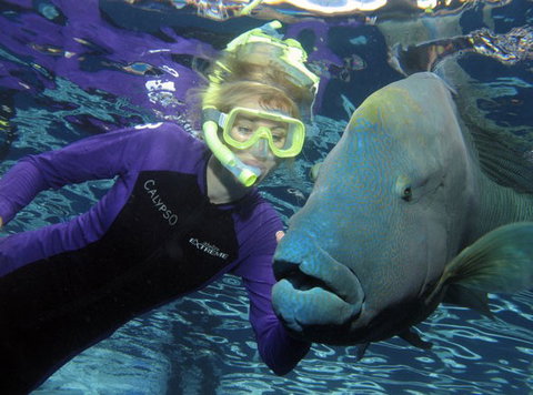 Calypso Reef Charters - Geraldton Accommodation 4