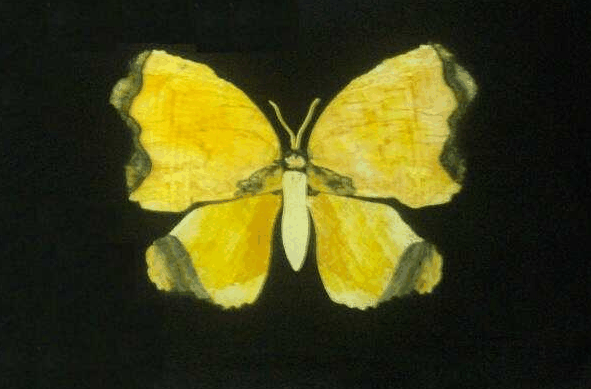 Ashworths - Geraldton Accommodation