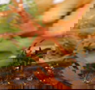 Hallam Hotel - Geraldton Accommodation