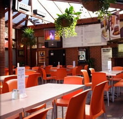 Coopers Alehouse At The Earl - Geraldton Accommodation 3