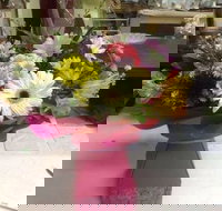 Bahia Restaurant - Geraldton Accommodation