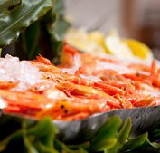 Food Fantasy - Geraldton Accommodation