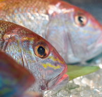 Coro Hotel - Lure Seafood Restaurant - Geraldton Accommodation