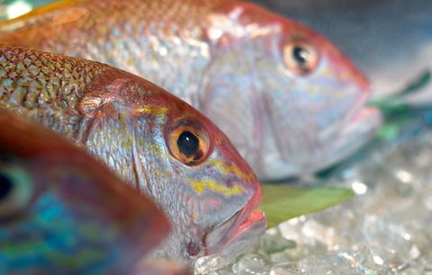 Coro Hotel - Lure Seafood Restaurant - Geraldton Accommodation 0