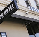 Skinny Dog Hotel - Geraldton Accommodation