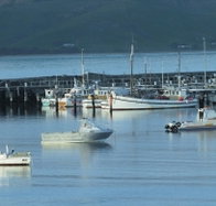 The Apollo Bay Hotel - Geraldton Accommodation