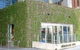Greenhouse - thumb 2