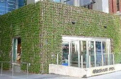 Greenhouse - Geraldton Accommodation 2
