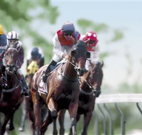 Colac Turf Club - Geraldton Accommodation