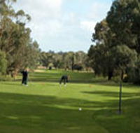 Mount Gambier Golf Club - Geraldton Accommodation
