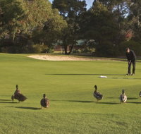 Royal Hobart Golf Club - Geraldton Accommodation