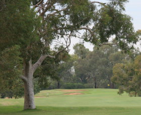 Tocumwal Golf Club - Geraldton Accommodation 2